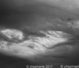 DSC_3336_DxO